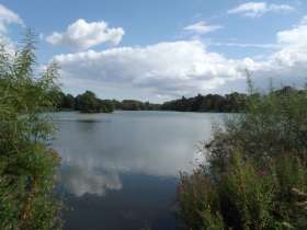 Revesby Fisheries 