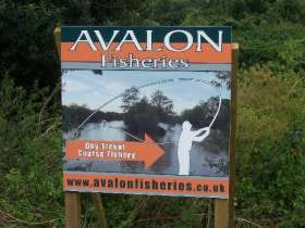 Avalon Fisheries