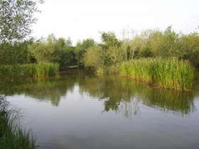 Hawford Bridge Fishery and Holiday Cottages